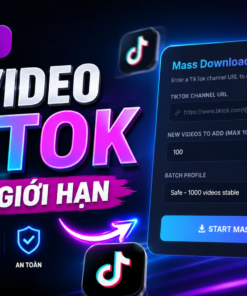 Công cụ tải video Tiktok không giới hạn